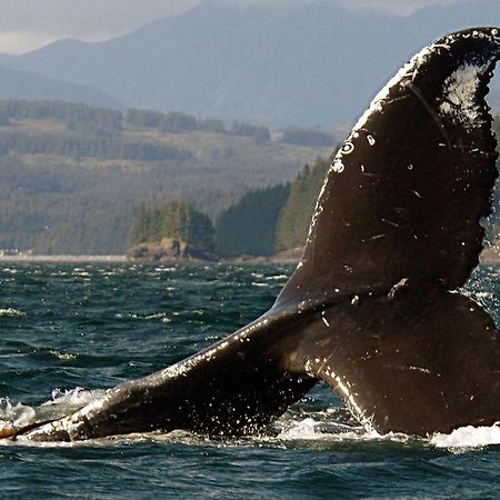 Kodiak Compass Suites Екстериор снимка